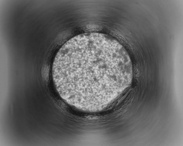 X0000096380742200802211121