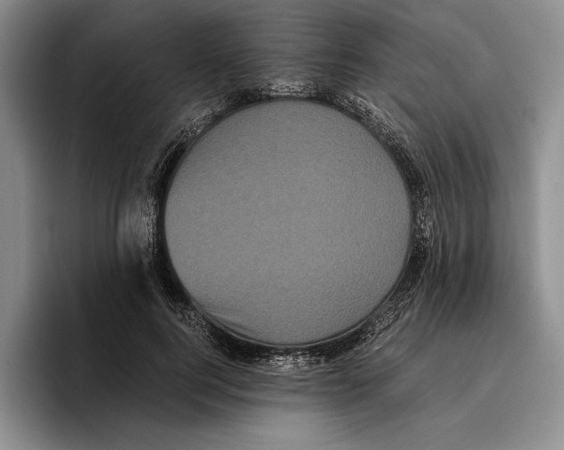 X0000096380744200802211121