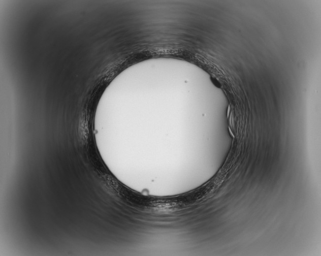 X0000096380746200802211121