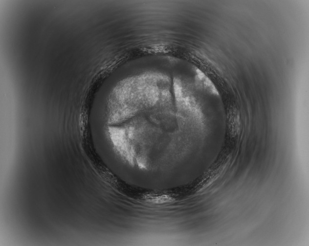 X0000096380747200802211121