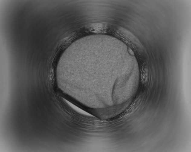 X0000096380748200802211121