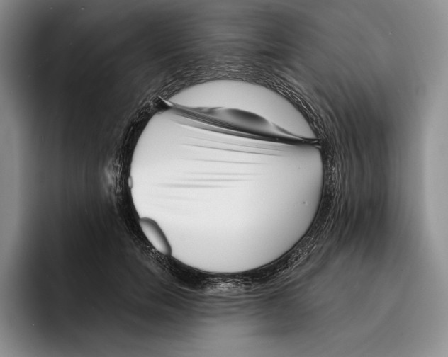 X0000096380750200802211121