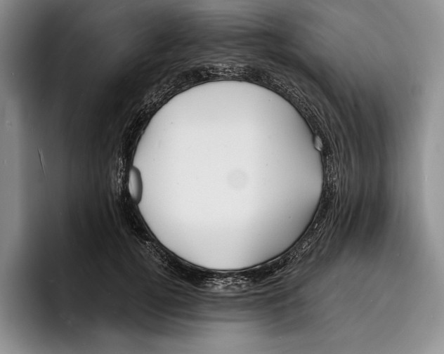 X0000096380752200802211121