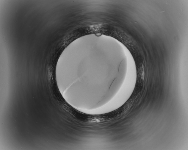 X0000096380754200802211121