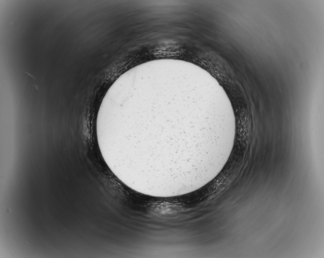 X0000096380755200802211121