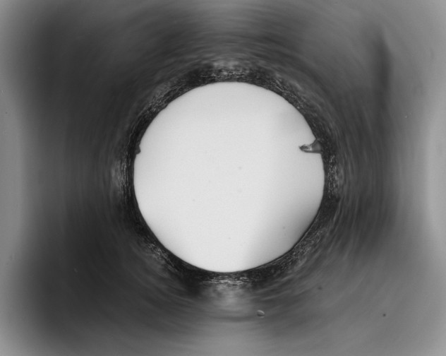 X0000096380756200802211121