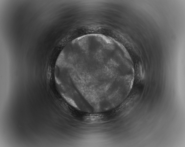 X0000096380758200802211121