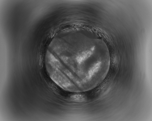 X0000096380759200802211121