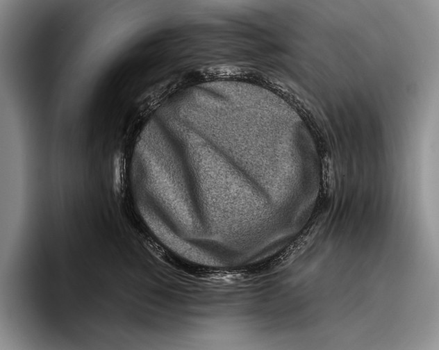 X0000096380760200802211121