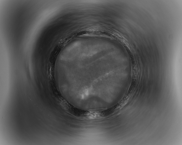 X0000096380762200802211121