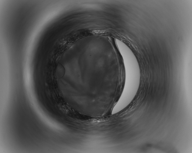 X0000096380763200802211121