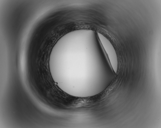 X0000096380764200802211121