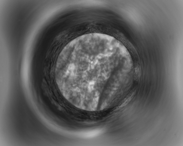 X0000096380765200802211121