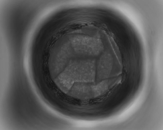 X0000096380766200802211121