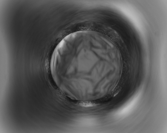 X0000096380767200802211121