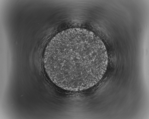 X0000096380769200802211120