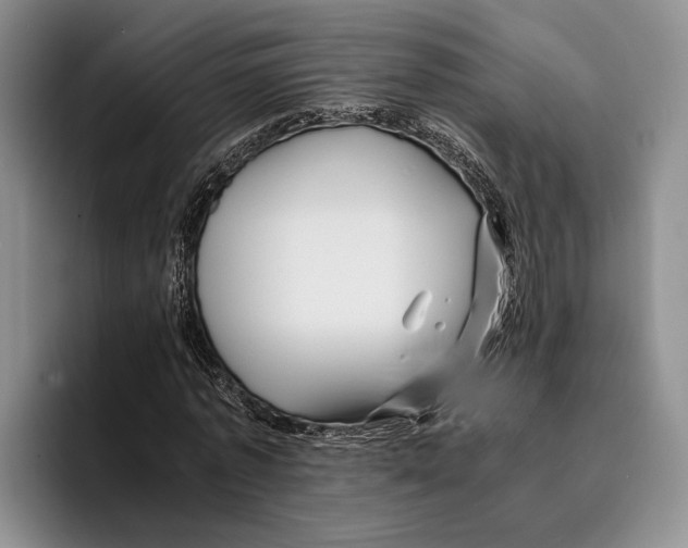 X0000096380773200802211120