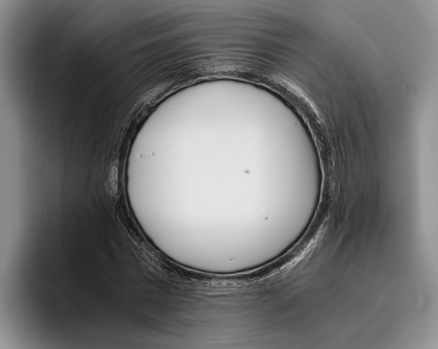 X0000096380777200802211120