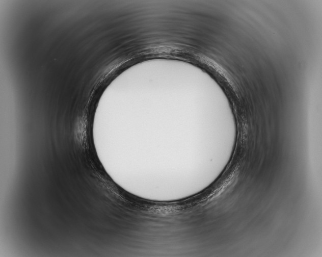 X0000096380778200802211120