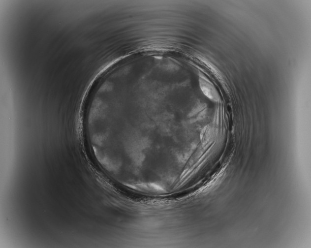 X0000096380779200802211120