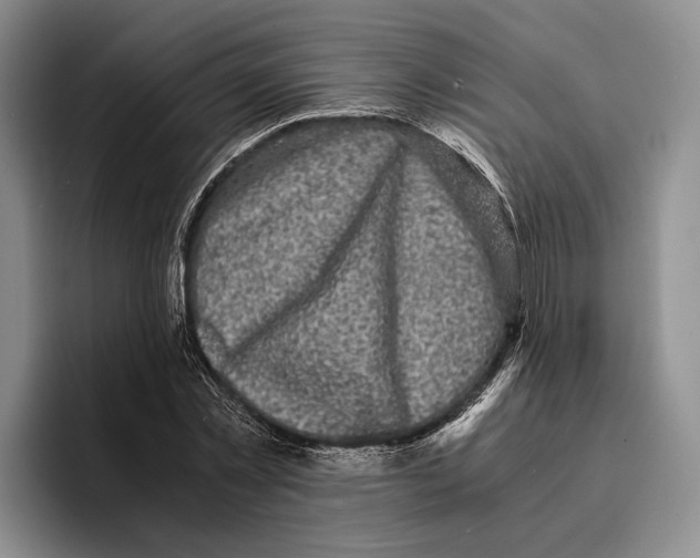 X0000096380781200802211120