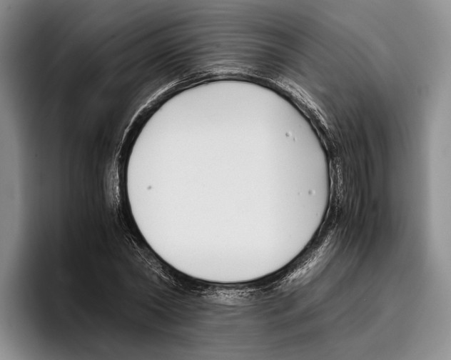 X0000096380782200802211120