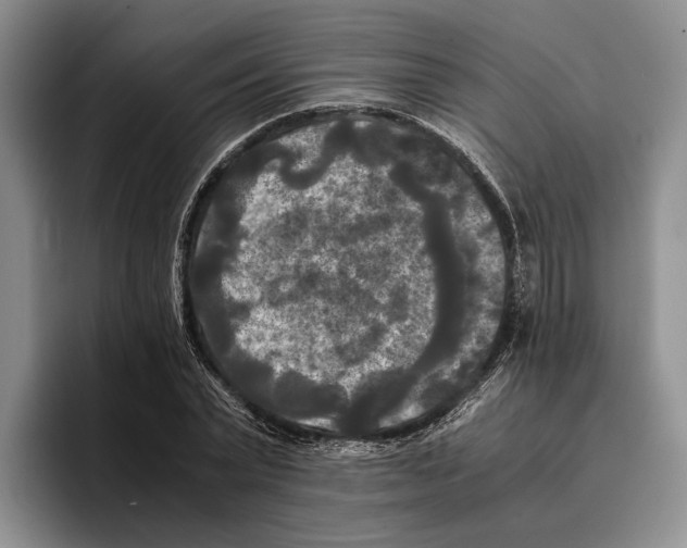 X0000096380783200802211120