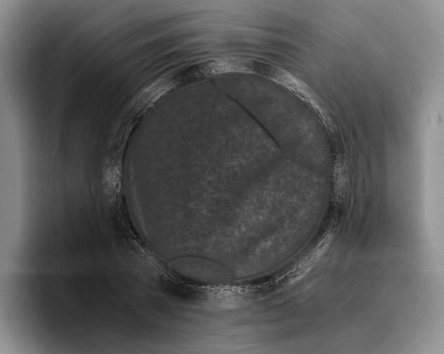 X0000096380785200802211120