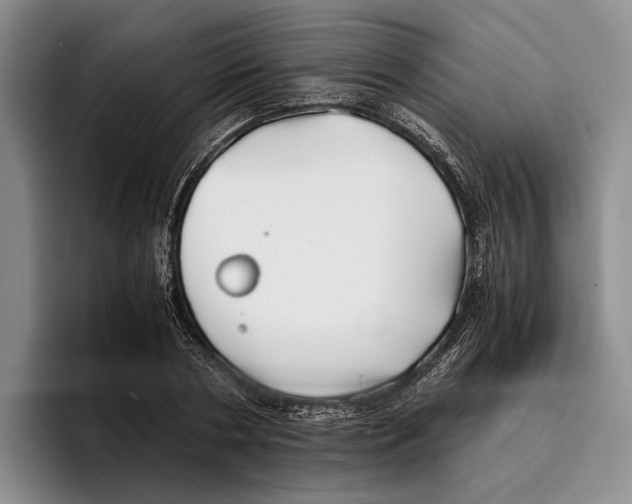 X0000096380786200802211120