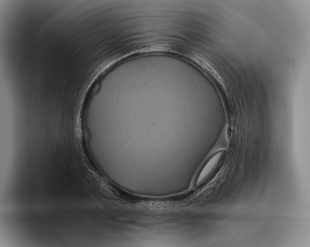 X0000096380789200802211120