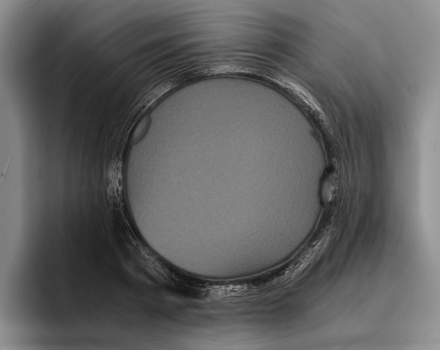 X0000096380793200802211120