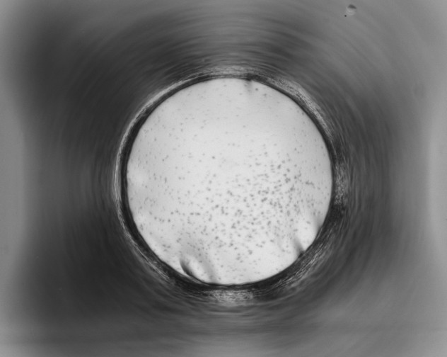 X0000096380795200802211120