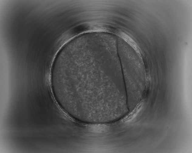 X0000096380797200802211120