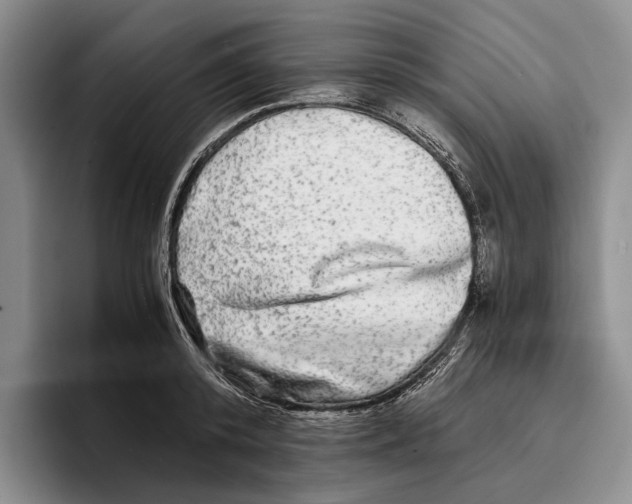 X0000096380800200802211120