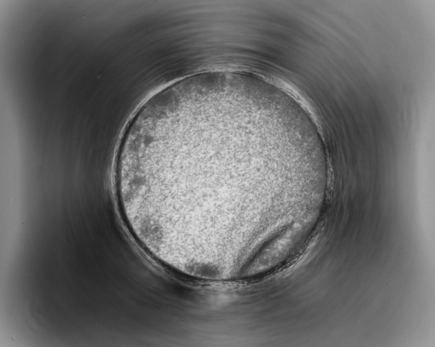 X0000096380803200802211120