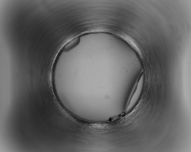 X0000096380805200802211120