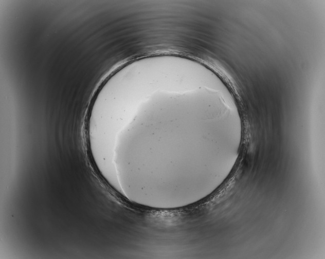 X0000096380806200802211120