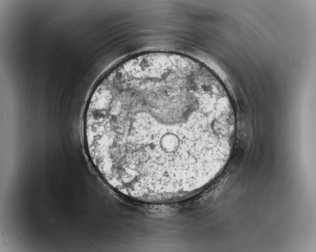 X0000096380807200802211120