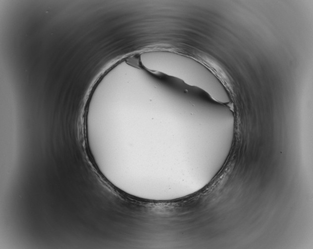 X0000096380808200802211120