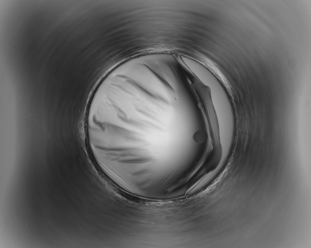 X0000096380810200802211120