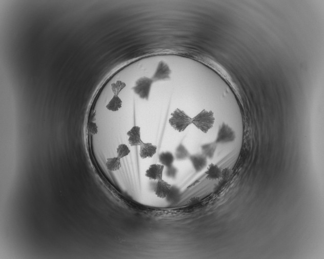 X0000096380811200802211120
