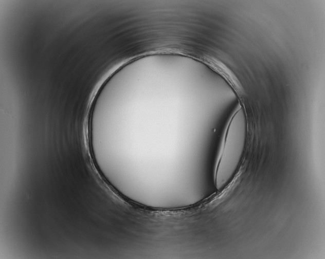 X0000096380812200802211120