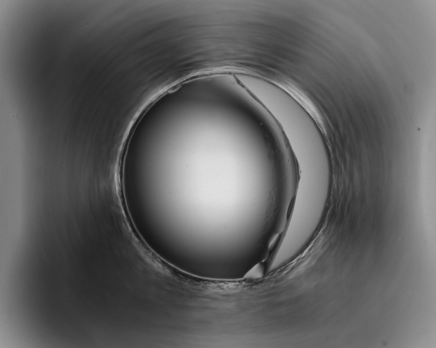 X0000096380813200802211120