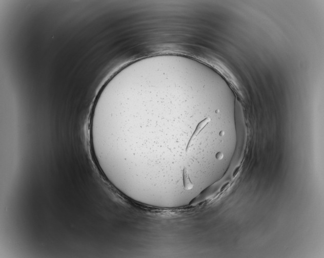 X0000096380814200802211120