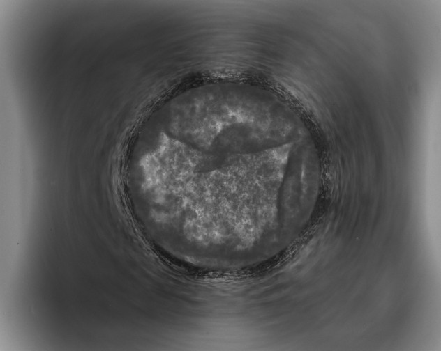 X0000096380817200802211119