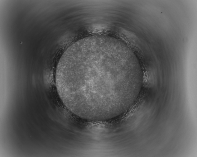 X0000096380820200802211119