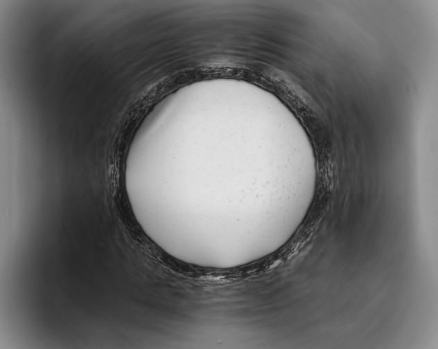 X0000096380821200802211119