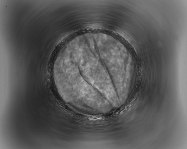 X0000096380823200802211119