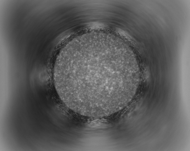 X0000096380824200802211119