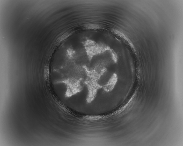 X0000096380825200802211119